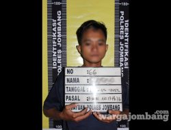 Setubuhi Anak Dibawah Umur, Pemuda Kabuh Diringkus Polisi