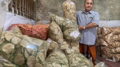 Tranformasi Petani di Jombang Sukses jadi Raja Kerupuk Goreng Pasir